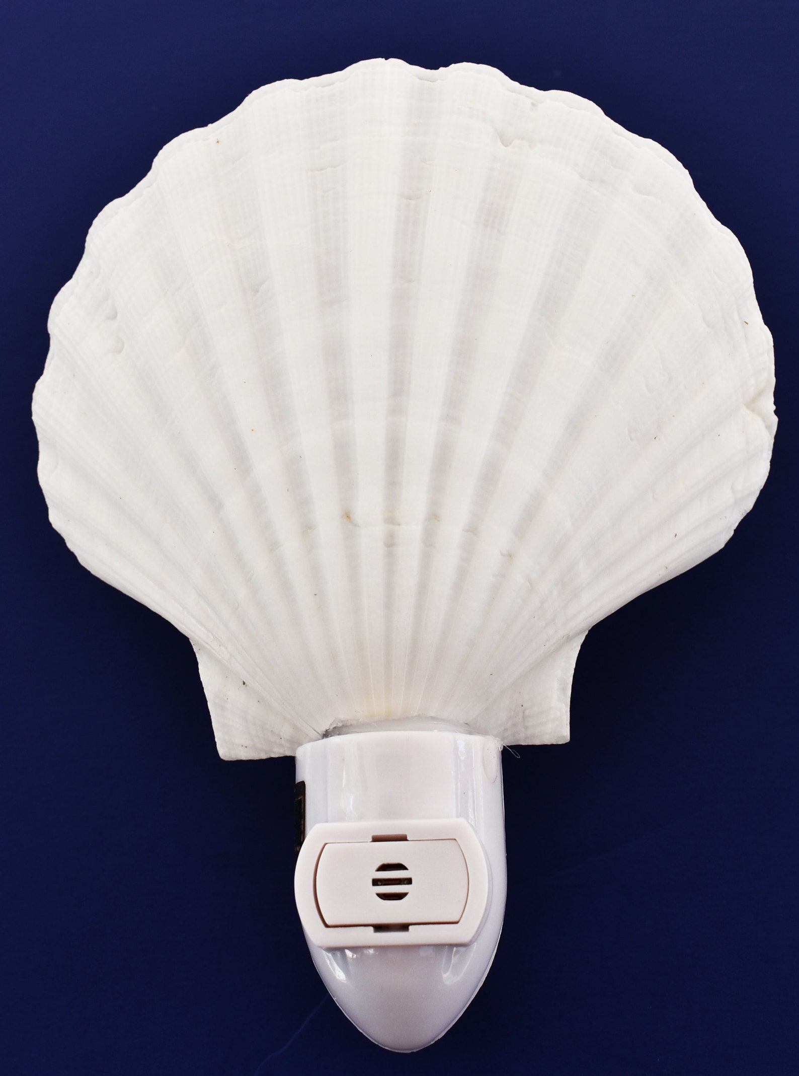 Real Seashell Night Light White Scallop Shell Decorative Beach Etsy UK