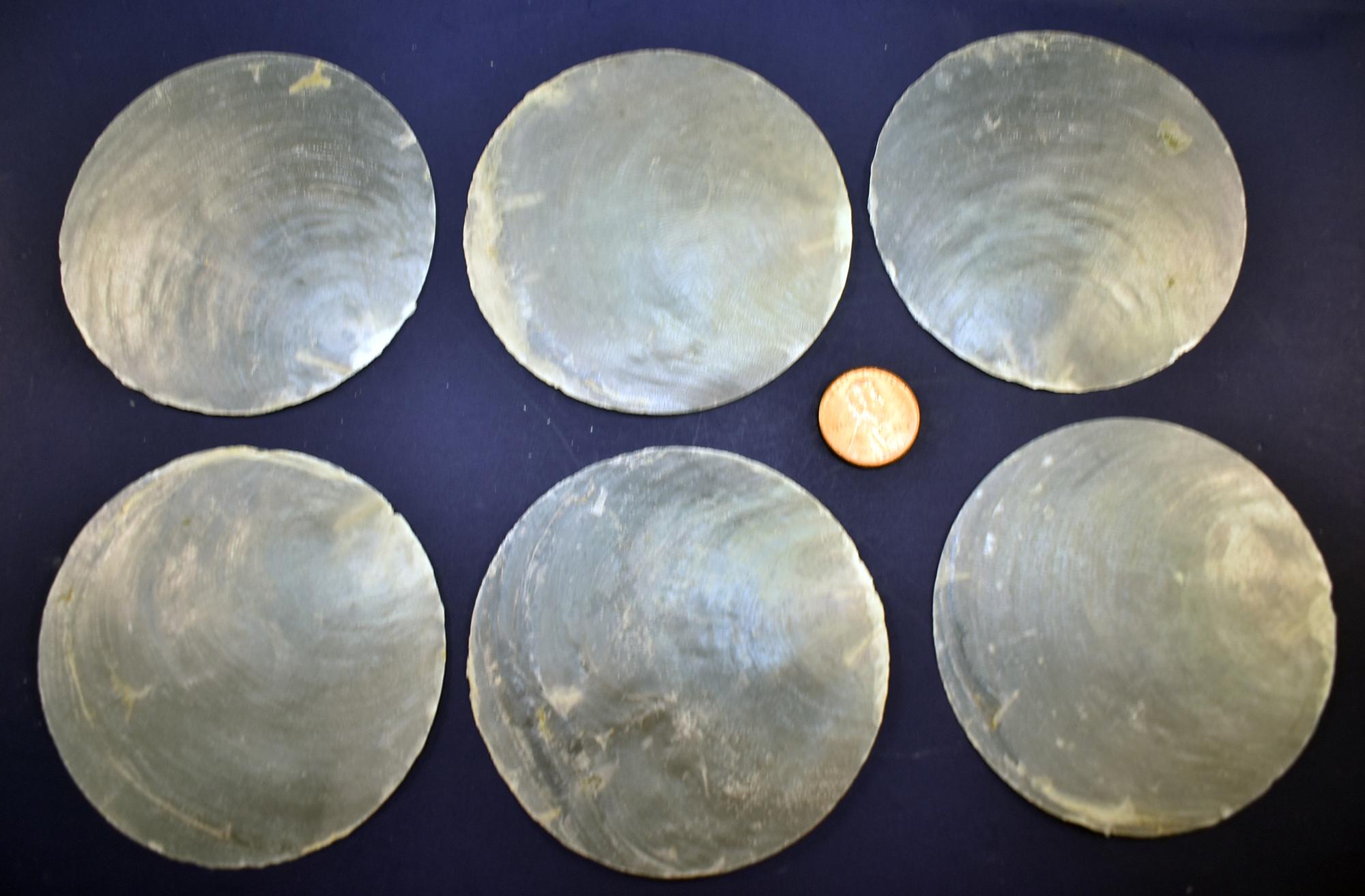 25 Large Natural Capiz Shells Round Cut - 3
