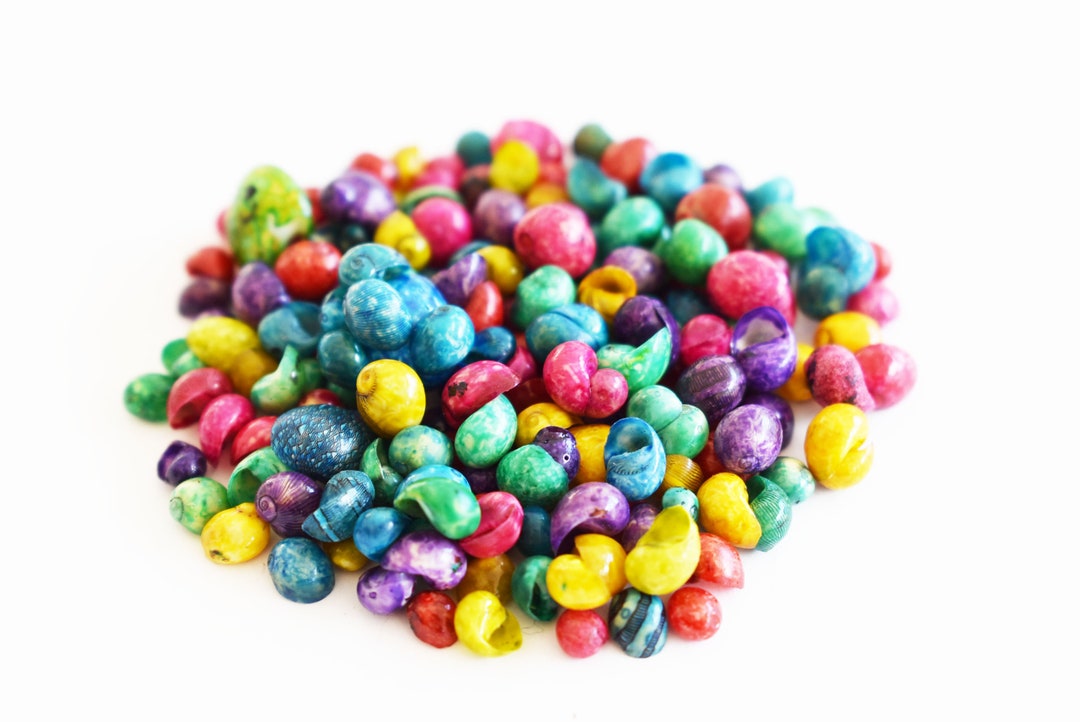 Micropolitan Shells 4 Oz (700+) Tiny Dyed Littorina Micro Shells 1/8-1/4