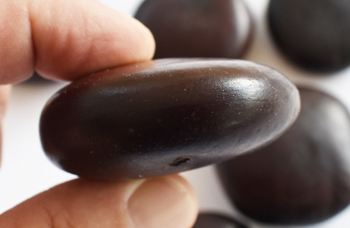 Set of 12 Lucky Sea Beans Beach Crafts Wedding Decorations Etsy