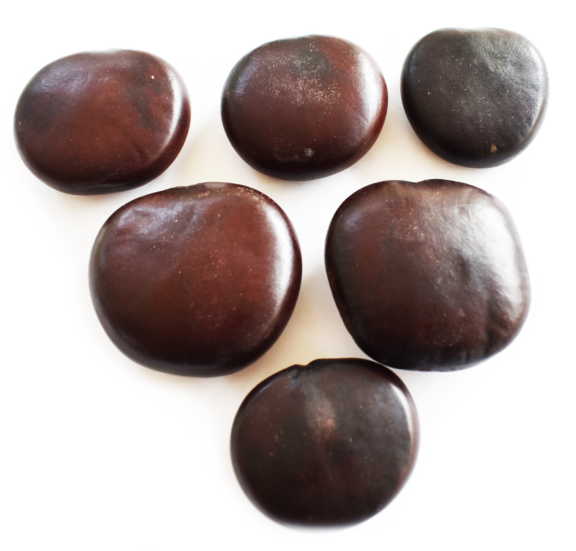 Set of 12 Lucky Sea Beans Beach Crafts Wedding Decorations Etsy