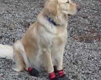 Boots for golden retriever dog deals