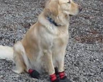 A set of dog boots-winter dog boots-dog shoes-skidproof boots-pawprotectors-new and extreme-dog booties