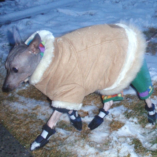 A Set of Dog Bootswinter Dog Bootsdog Shoesskidproof Etsy