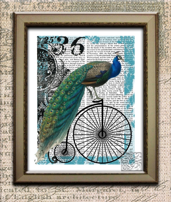 Vintage Peacock Penny Farthing Print Dictionary Page Wall Art Picture Bicycle Bird