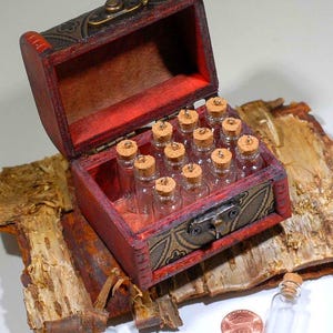 DIY Witch Potion Kit: 12 Tiny Empty Bottles, Miniature Trunk