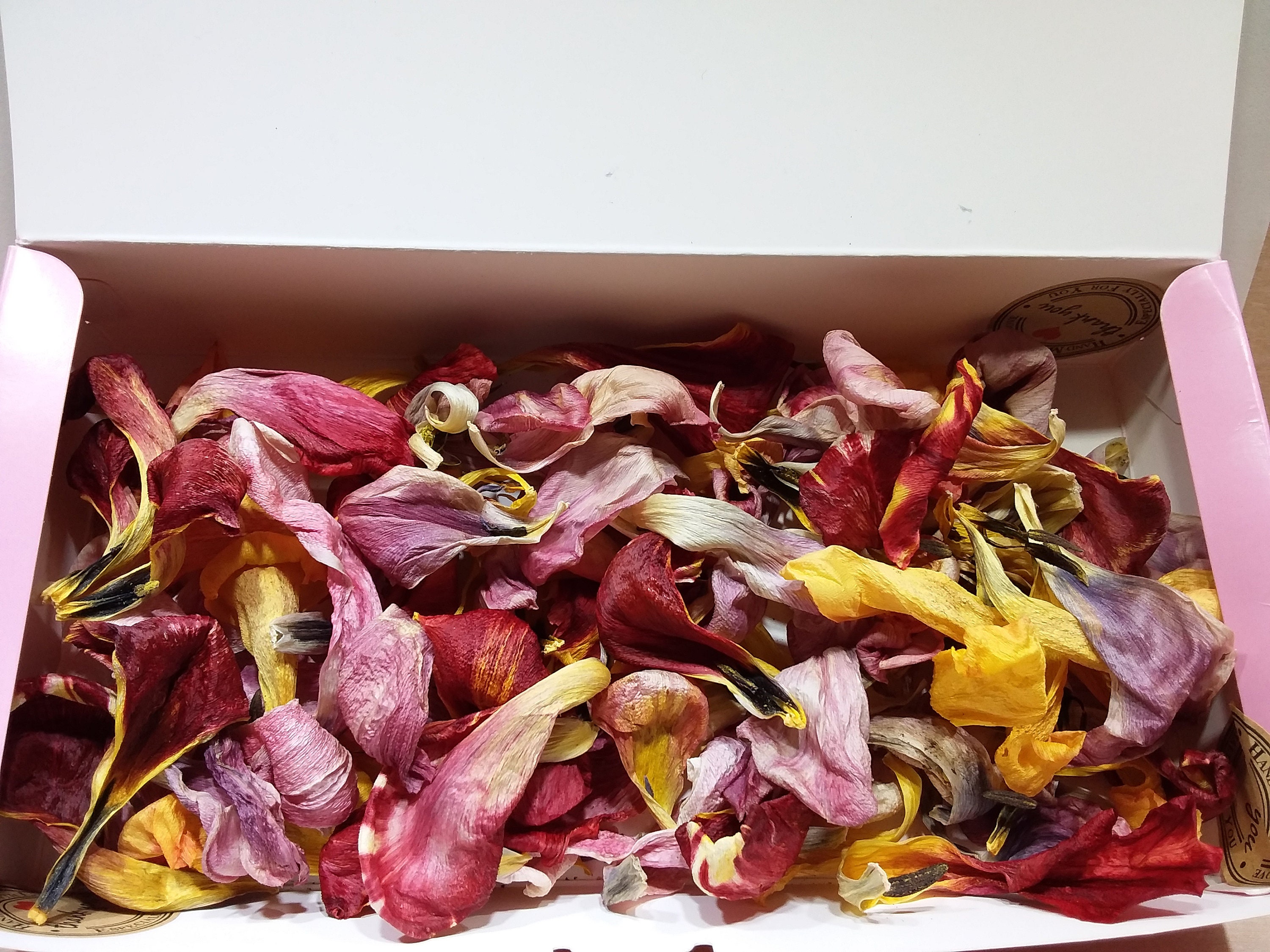 Dried Multicolored Tulip Petals Only 1 Available Petals from Etsy