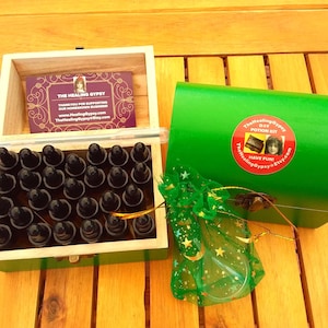 DIY {24} Liquid Potion Kit by The Healing Gypsy* 24 Empty Amber Dropper Bottles * Green Trunk* Child's Gift* Liquid Potion Making