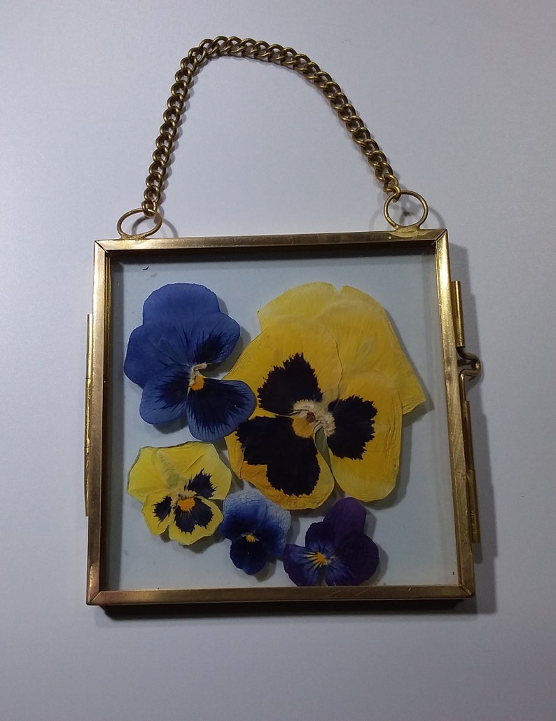 Pressed Flower Tiny Frame Art Window Decor Flower Windows Etsy