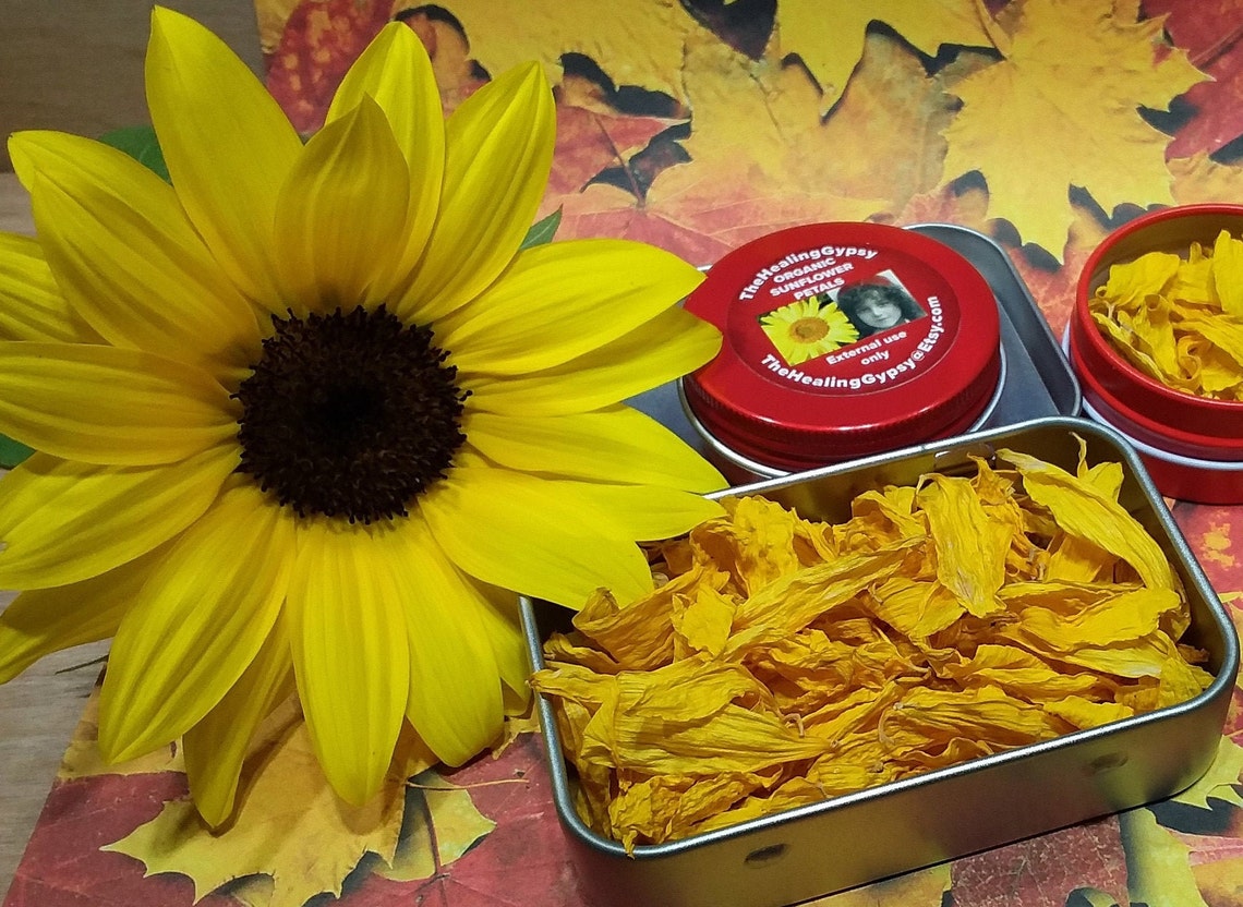 Dried Sunflower Petals Floral Craft Supply Organic Etsy