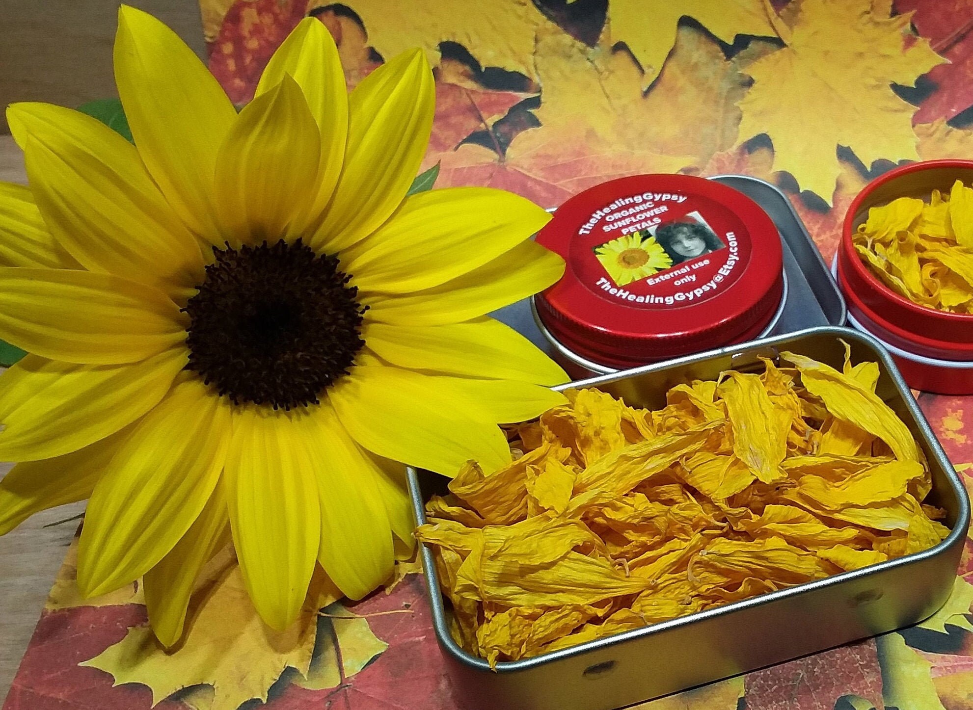 Dried Sunflower Petals Floral Craft Supply Organic Sunflowers Etsy