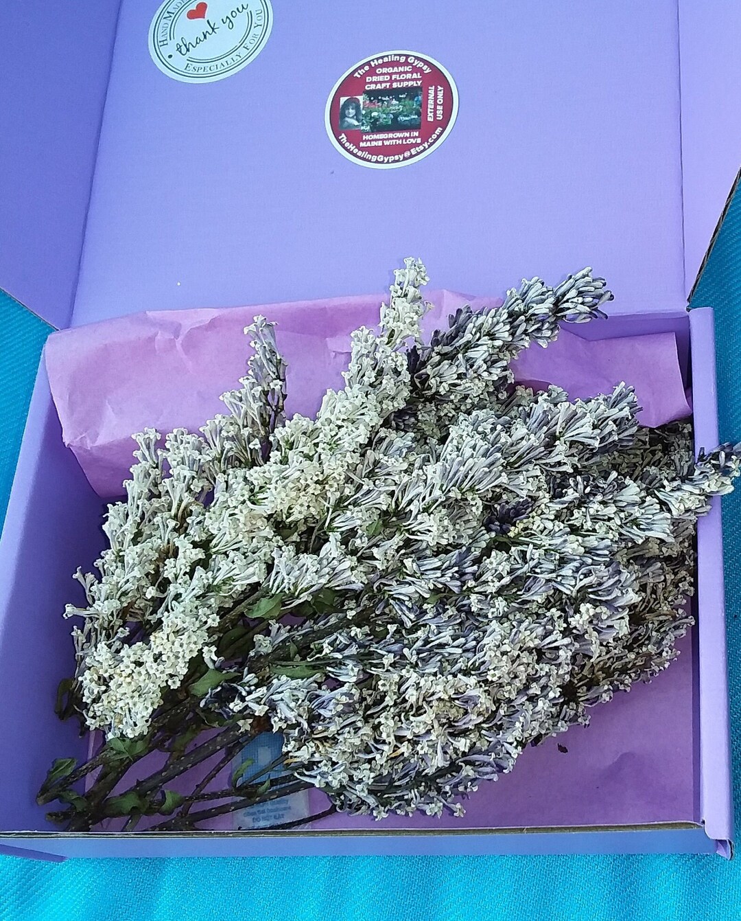 Dried Lilac Blossoms on Stems Organically Home Grown in ME Dried Miss