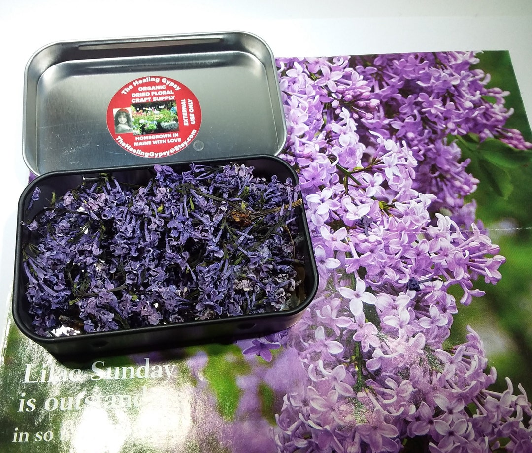 Lilacs 10 Grams Dried Lilac Blossoms Organic Home Grown Etsy
