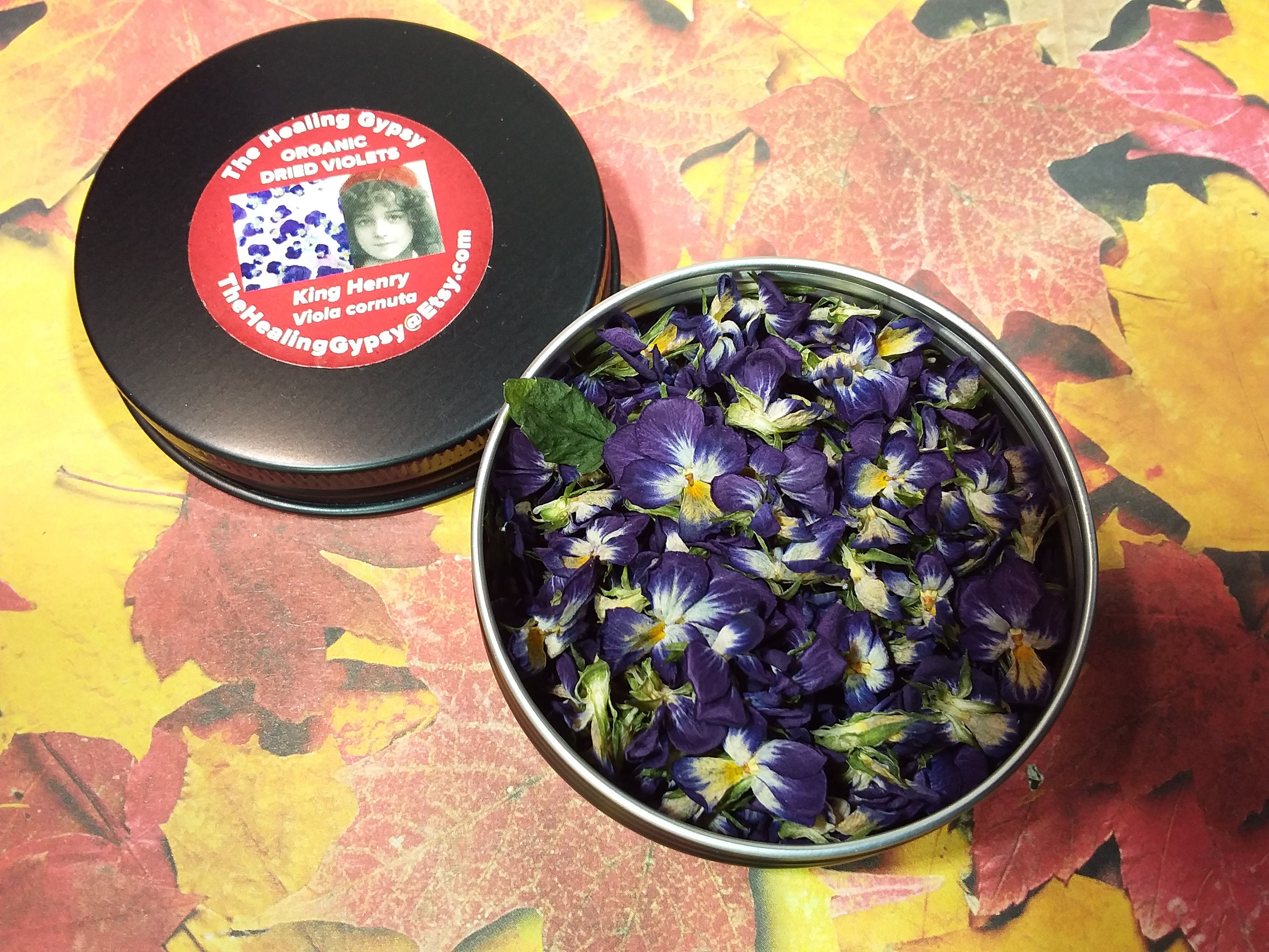 BULK Dried Organic Violets Homegrown Dried Violets Dried Etsy