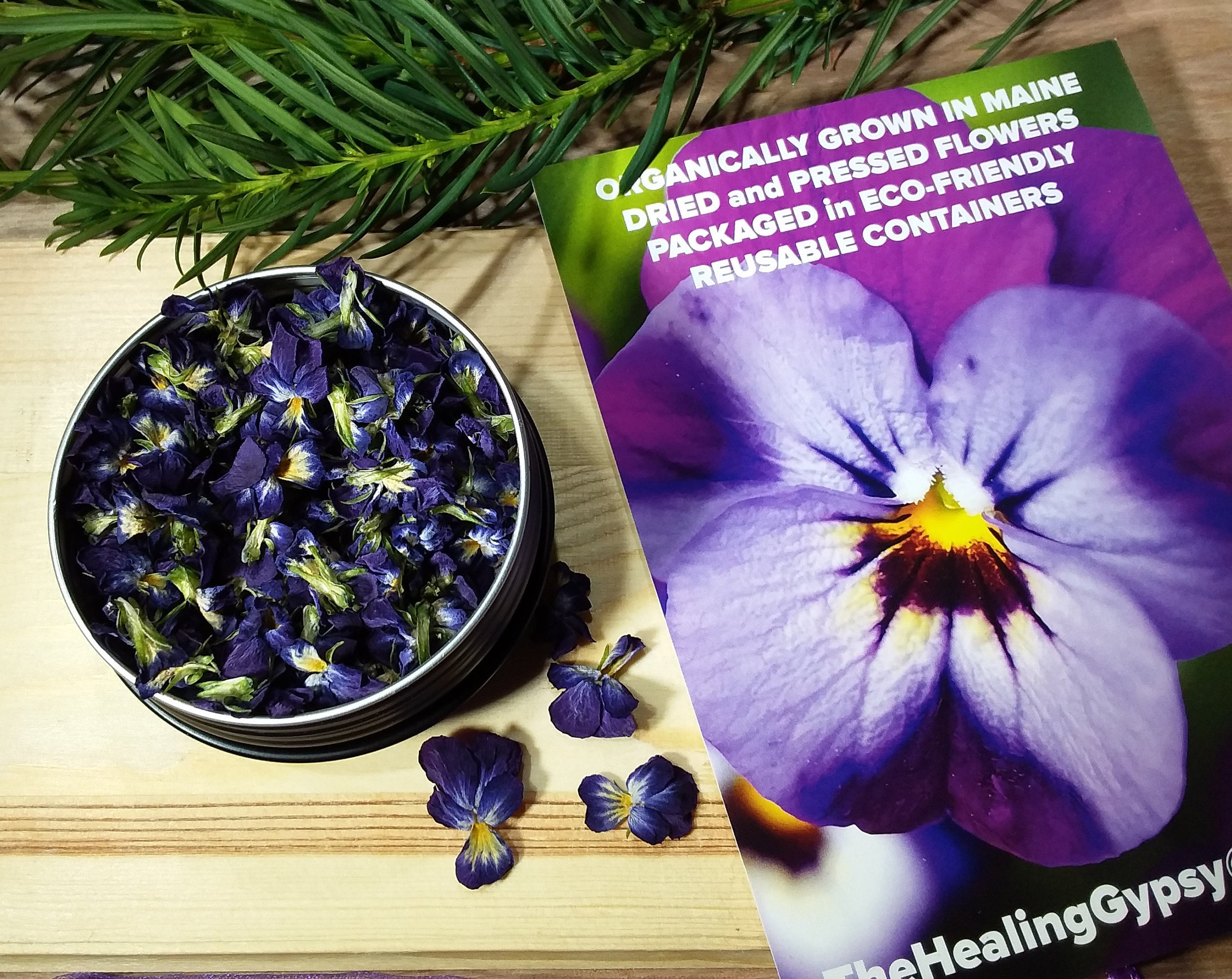 BULK Dried Organic Violets Homegrown Dried Violets Dried Etsy