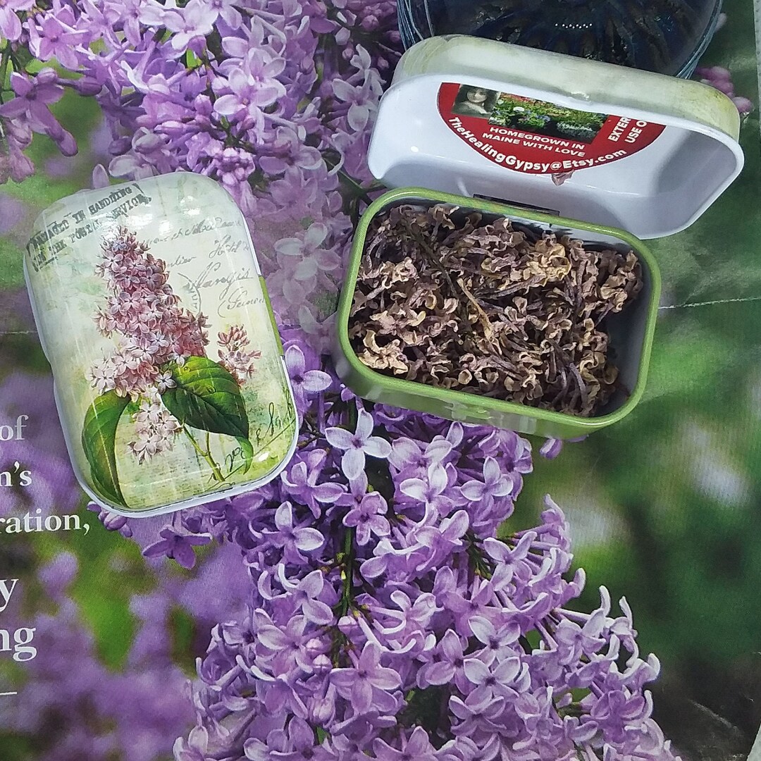 Dried Lilac Blossoms TINY Tin Organic Home Grown Lilac Dried Etsy