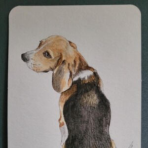 Beagle assis, aquarelle et crayons de couleurs, dessin original format carte postale 10x15cm