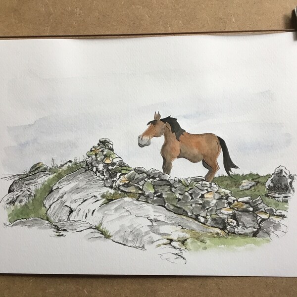 Aquarelle originale cheval et paysage irlandais, humour