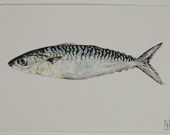 Original watercolor fish, mackerel, Brittany, returning from the market, 10x15 cm