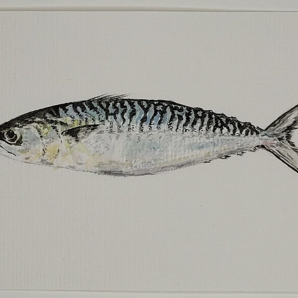 Aquarelle originale poisson, maquereau, Bretagne, retour de marché