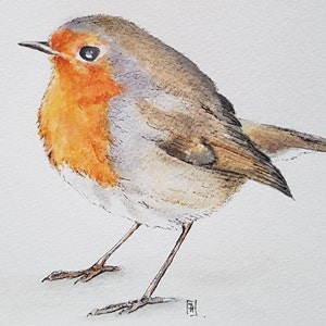 Acuarela y lápiz pájaro petirrojo (G), dibujo original, 10x15 cm