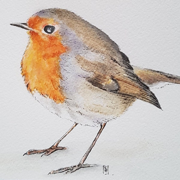 Aquarelle et crayon oiseau rouge-gorge (G), dessin original