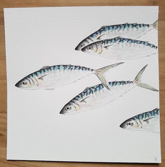 オリジナルでユニークな水彩画 | 魚、サバの群れ | 正方形フォーマット