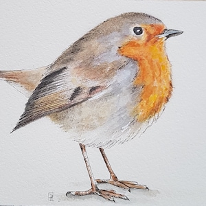Acuarela original, pájaro, petirrojo (D), 10x15 cm