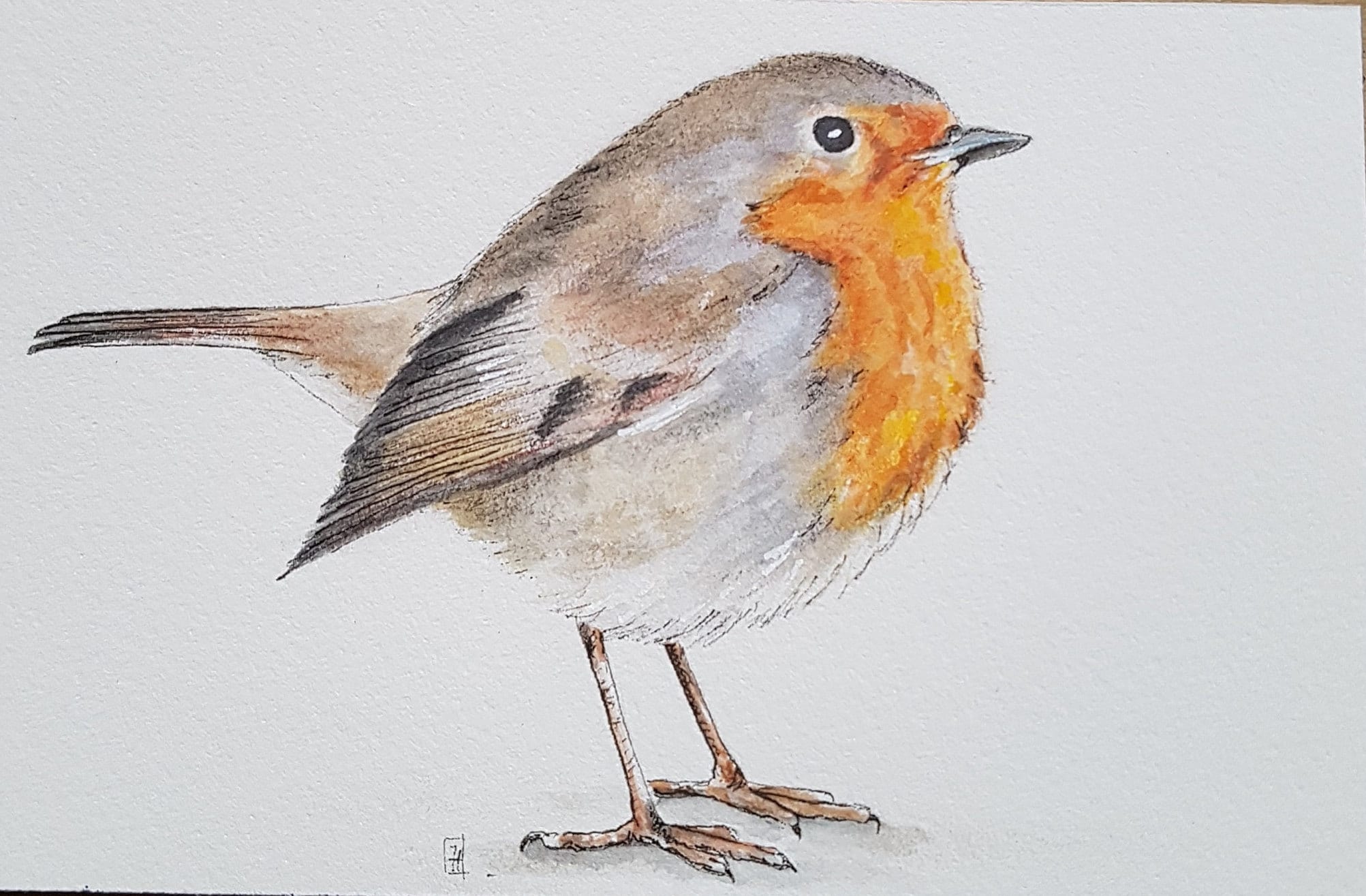 オリジナル水彩画 | 鳥、コマドリ（D） | サイズ 10x15 cm - Etsy 日本
