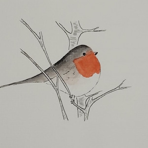 Robin, acuarela original, 10x15 cm