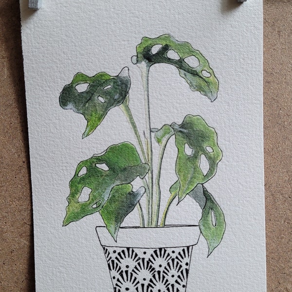 Aquarelle originale plante verte, Monstera monkey leaf, plante en pot