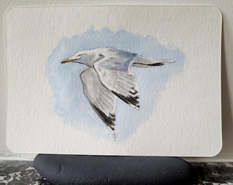 Original and unique drawing | Seagull in flight, Etretat, Normandy | Postcard format