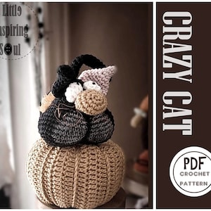 Peut inclure: Un patron de crochet pour un jouet amigurumi "Crazy Cat". Le patron est un téléchargement PDF et comprend des instructions pour crocheter un chat avec une base en forme de citrouille. Le patron est disponible à l'achat sur Etsy.