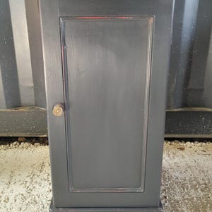 Victorian Mahogany Pot Cupboard