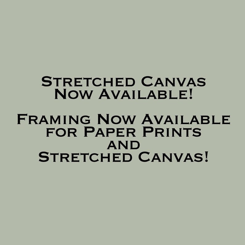 May include: Text on a light gray background that reads "Stretched Canvas Now Available! Framing Now Available for Paper Prints and Stretched Canvas!"