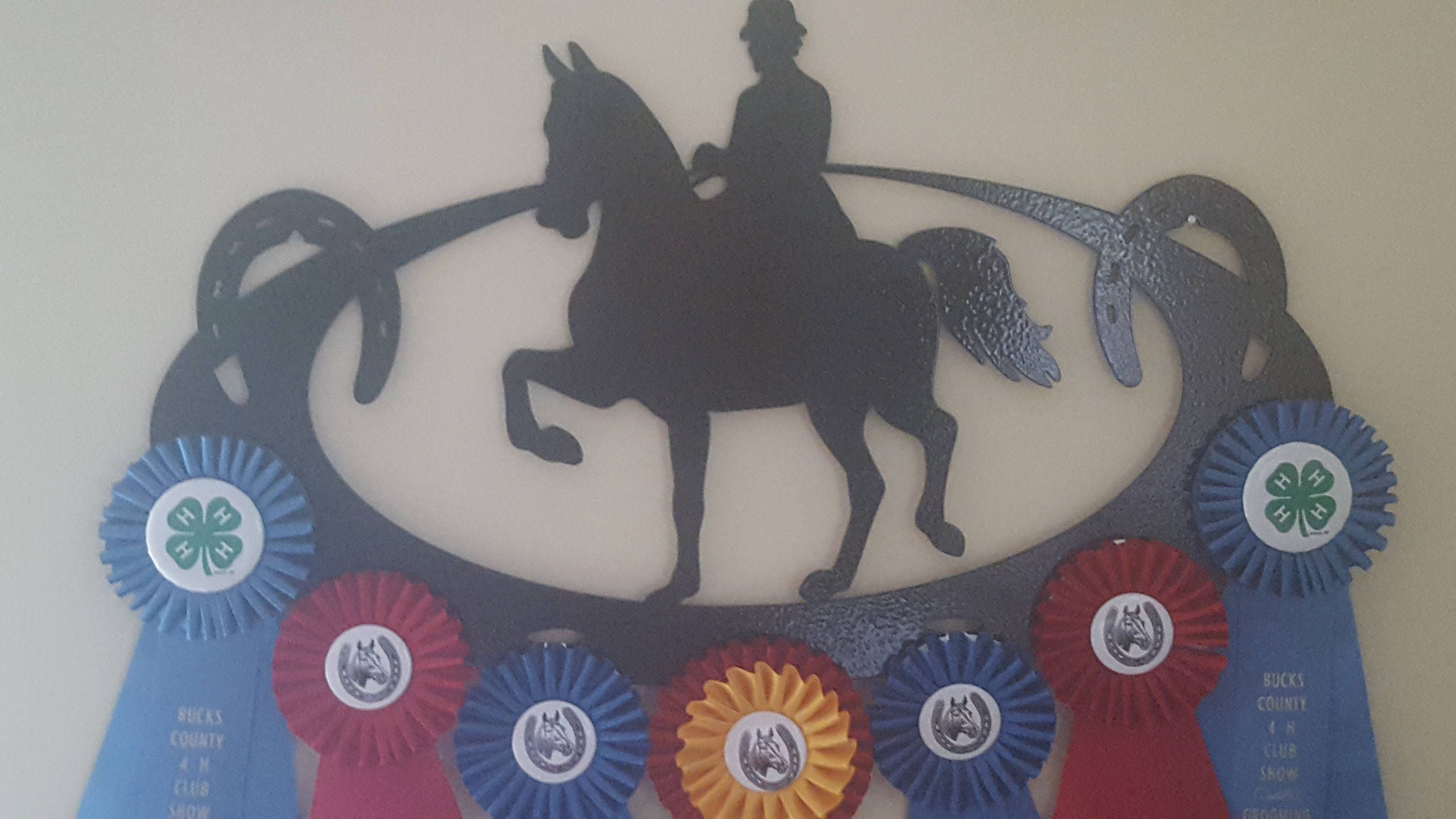 Horse Show Award Ribbon DisplayCustom Ribbon DisplayHorse Etsy