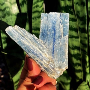 Blauer Kyanit Kristall - für verbesserte Meditation und totale Chakra Ausrichtung - Heilstein