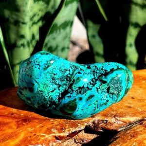 Chrysocolla Crystal with Malachite - for healing, peace, and compassion - rare crystal combo - malachite crystal - healing crystal