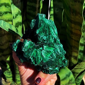 Natural Malachite Crystal for major healing and self transformation - heart chakra crystal - raw malachite