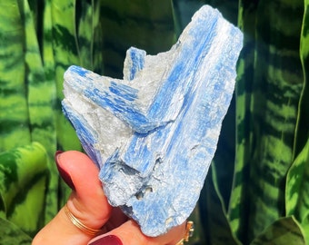Blue Kyanite Crystal with Quartz for Enhanced Meditation & Total Chakra Alignment