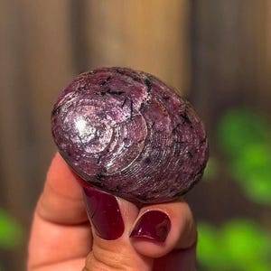 May include: A polished, oval-shaped ruby stone featuring deep magenta and purple hues with visible dark, needle-like inclusions throughout the surface. The stone has a smooth, rounded texture with concentric patterns and a reflective, glossy finish.