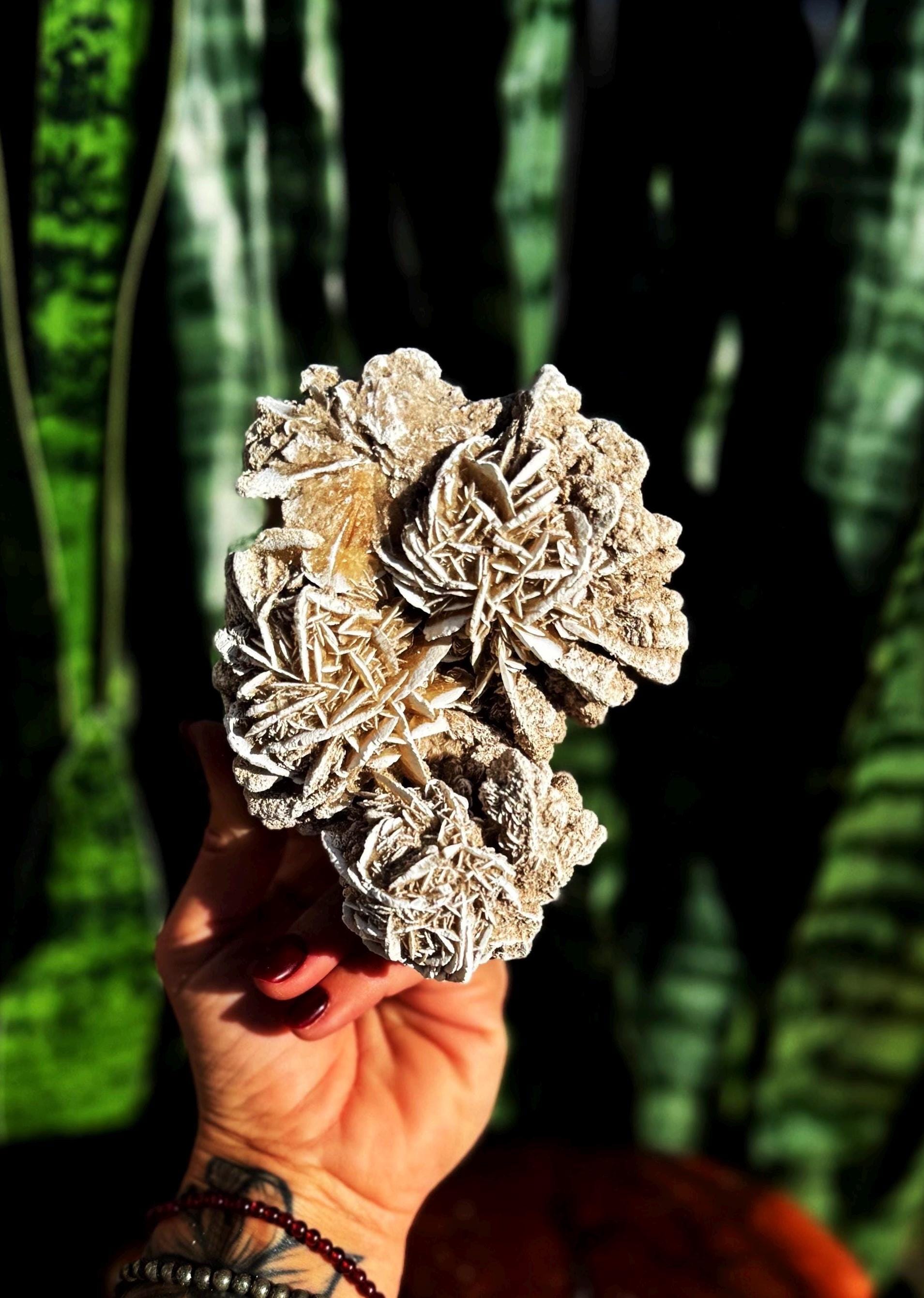 Desert Rose Crystal From Mexico - for Calming Energy + Tranquility