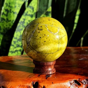 Pode incluir: Uma esfera verde-amarelada com veias e manchas escuras, exibida em um pequeno suporte de madeira escura. A esfera é o ponto focal, em um fundo desfocado de folhagem verde e uma superfície de madeira polida.