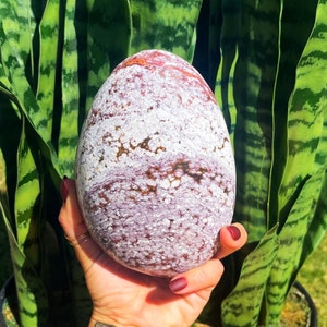 Ocean Jasper Free Form - Promotes Elevated Spirits + Increased Joy - ocean jasper crystal - healing crystal