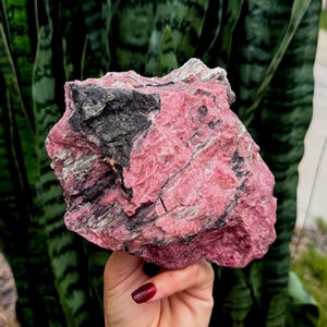 May include: A raw, unpolished chunk of rhodonite mineral featuring a vibrant pink base color with prominent, jagged veins of black manganese oxide and streaks of white crystalline material throughout the irregular, textured surface of the stone.