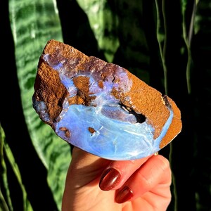 Puede incluir: Una piedra de ópalo natural en bruto con un llamativo contraste de colores. La piedra presenta una mezcla de tonos azul claro, marrón y blanco. El ópalo se sostiene en una mano, mostrando su textura única y belleza natural. El fondo es follaje verde borroso.