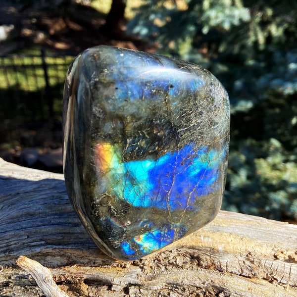 Labradorite Free Form  - Third Eye Chakra + Root Chakra Crystal