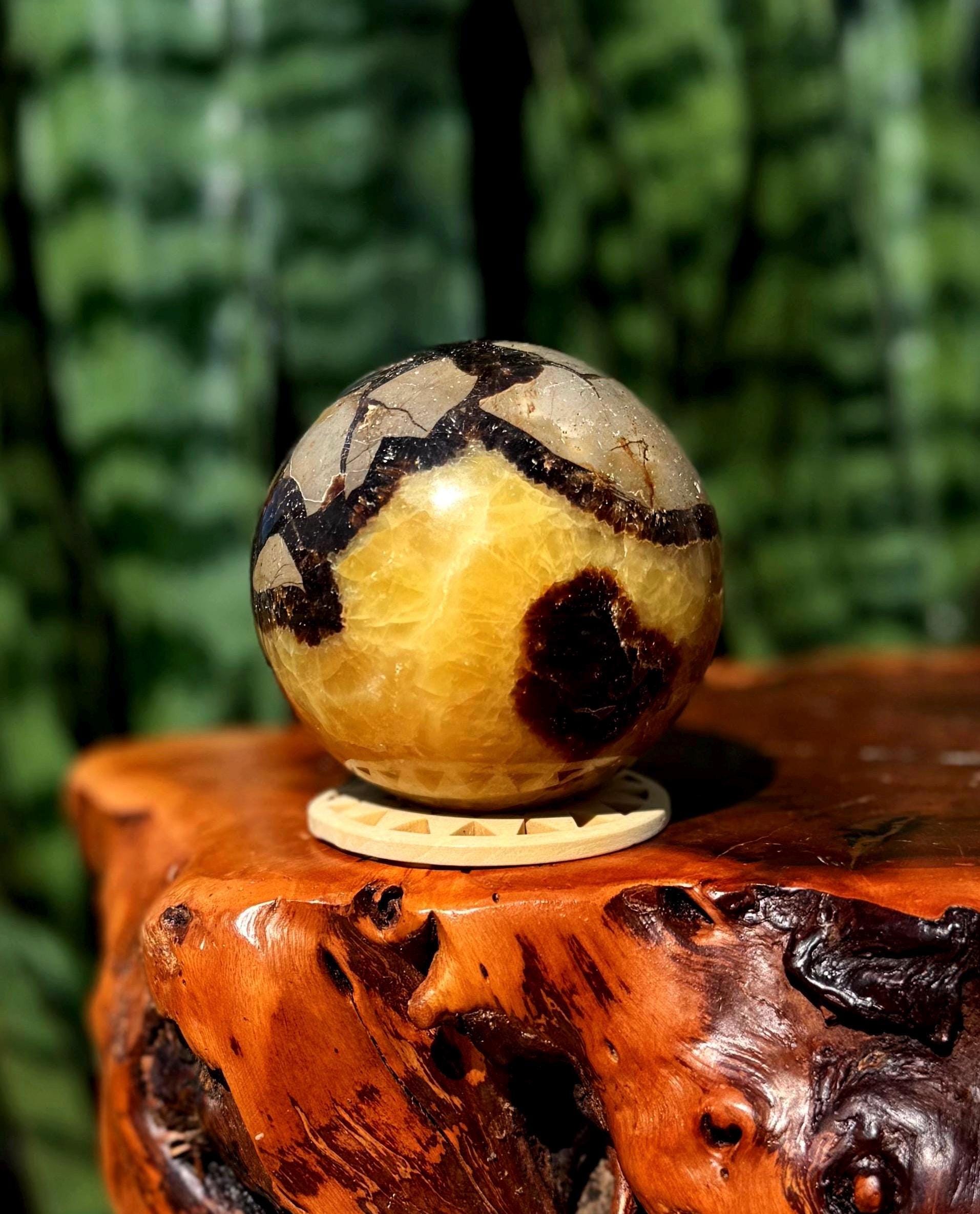 Septarian Egg Stand - Etsy