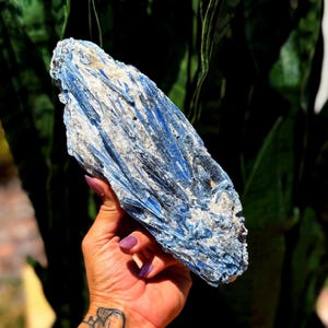 Blauer Kyanit Kristall - für reinigende Energie + totale Chakra Ausrichtung - blauer Kyanit Kristall