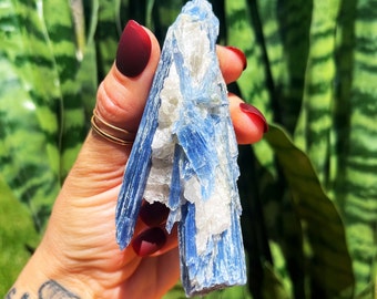 Blue Kyanite with Quartz for Enhanced Meditation & Total Chakra Alignment